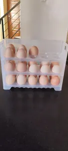 Egg storage rack