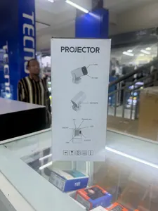 Projector P30