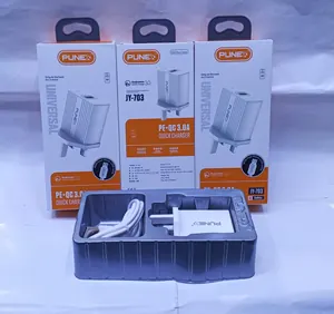 Punex Micro fast charger