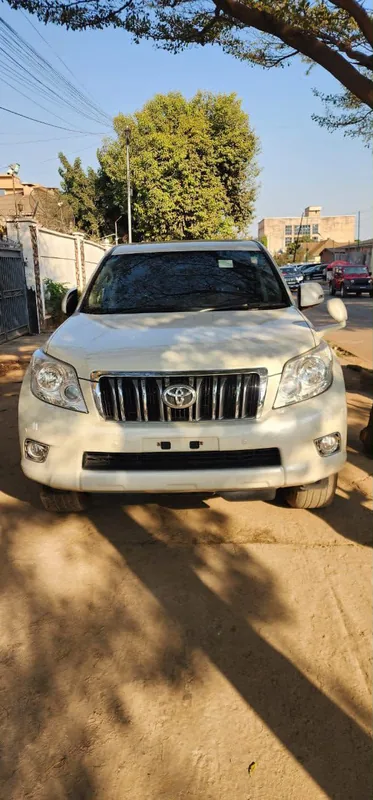 Prado TZ IT